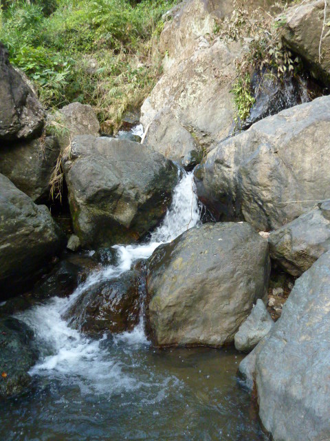 a0080610_23505921.jpg
