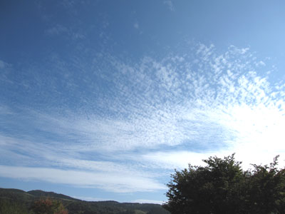 c0032212_1001592.jpg