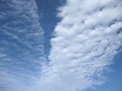 c0032212_9595157.jpg