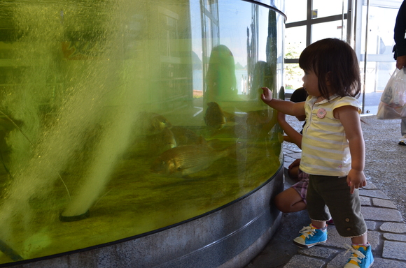 a0201316_0382899.jpg