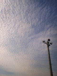 e0136019_12115427.jpg
