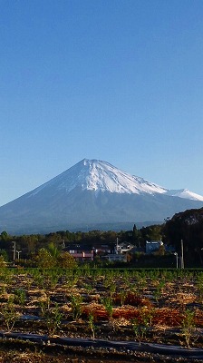 雪♪_b0147522_21525511.jpg