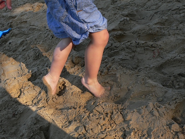 夏のおわりのサイクリング_b0193324_23481657.jpg
