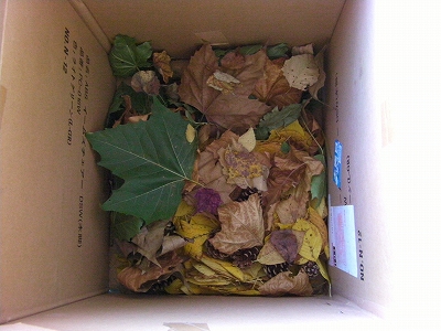 2011年 おとどけアート 稲積小学校 「秋の秘密基地」 小助川裕康_a0062127_16282254.jpg