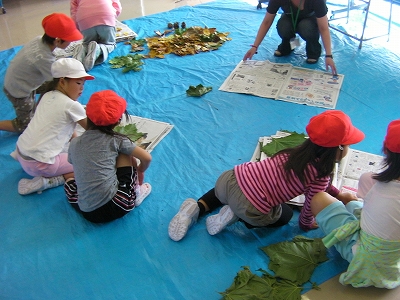 2011年 おとどけアート 稲積小学校 「秋の秘密基地」 小助川裕康_a0062127_16291927.jpg