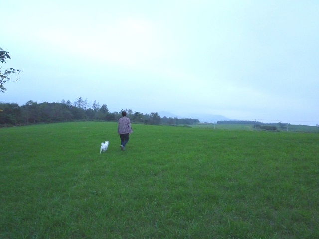 犬連れ旅行　北海道　その1_a0024829_8182378.jpg