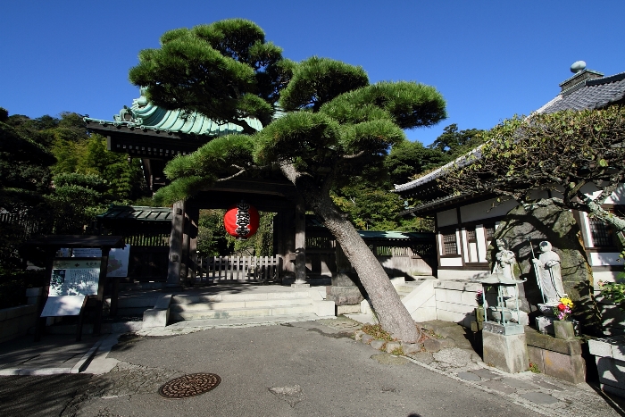 鎌倉散歩　#15 －長谷寺－_b0169330_22495287.jpg