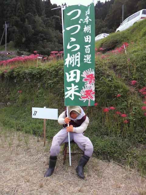 b0086532_1732125.jpg