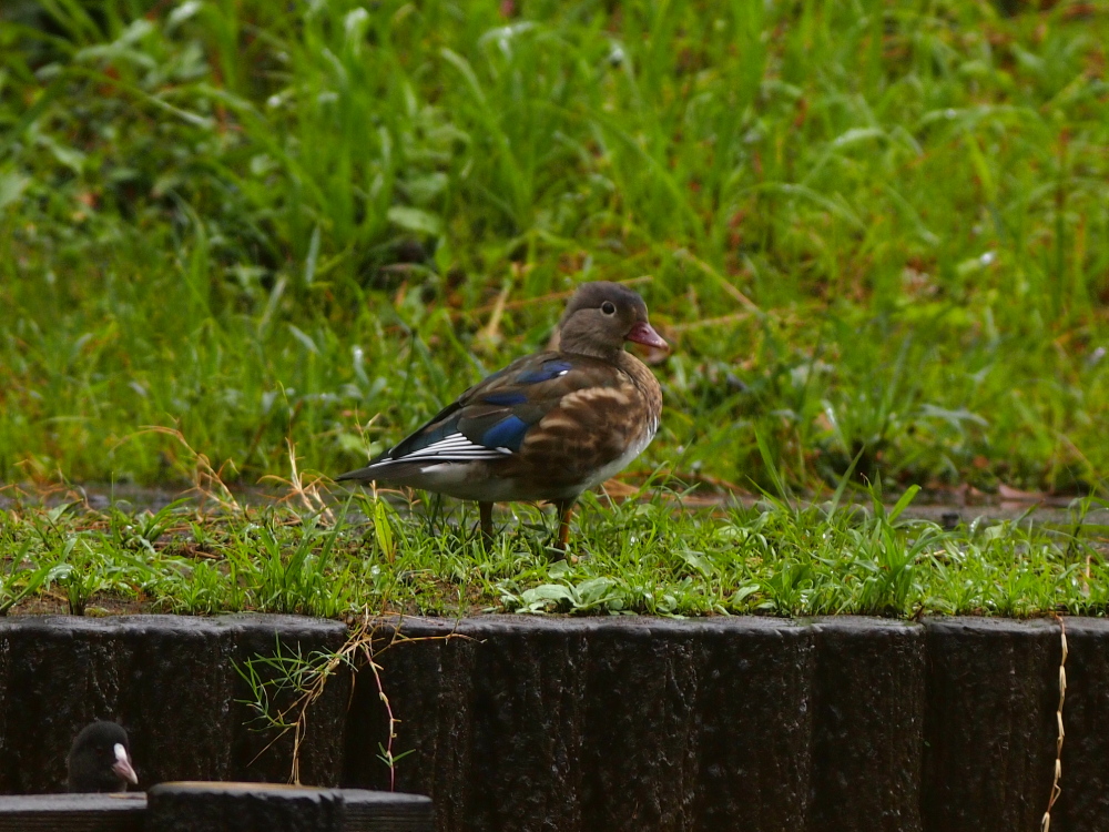 b0201233_14214250.jpg