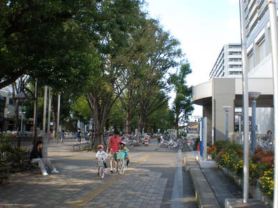 b0042238_15616.jpg