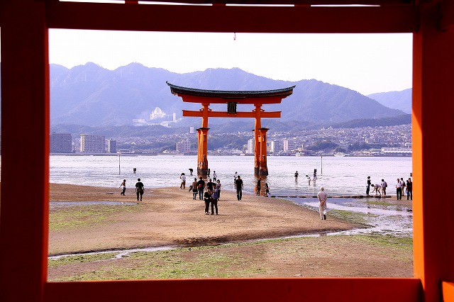 涼やか絶景　厳島神社ナイトクル－ジング_c0229539_162381.jpg