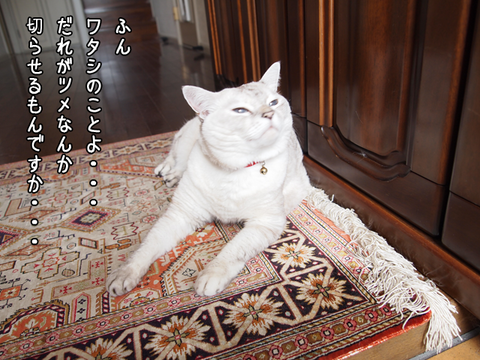 f0135940_20195751.png