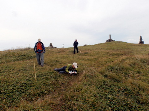 b0168843_17334620.jpg