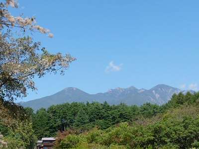 八ヶ岳薬用植物園_f0019247_23461216.jpg