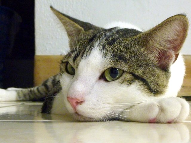 なんじゃ!!_d0012449_2163763.jpg