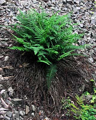 e0035757_19341061.jpg