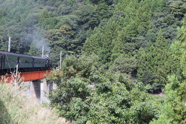 b0201258_2225598.jpg