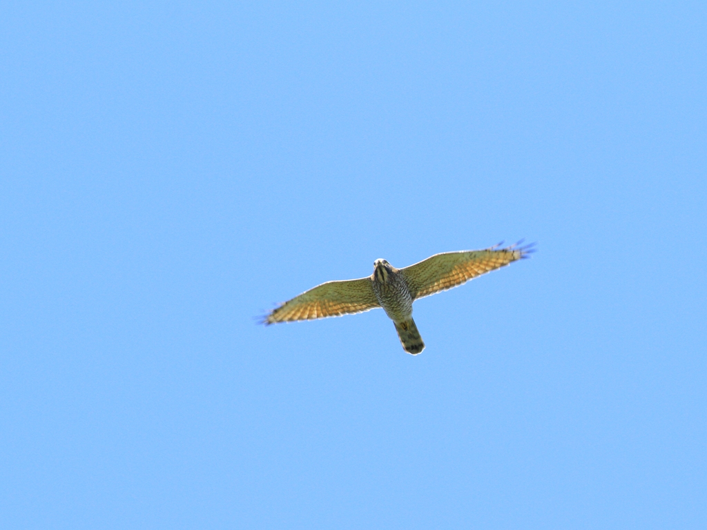 f0230458_1928480.jpg