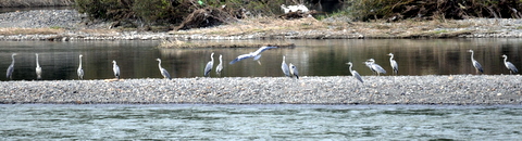 b0165760_2030053.jpg