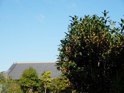 f0185066_932356.jpg