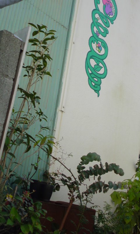f0220768_1322897.jpg