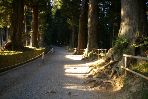 平泉世界自然遺産中尊寺に行ってきました_a0111271_2134830.jpg