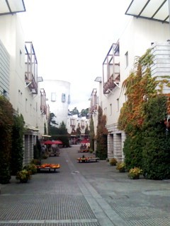 e0025073_20472378.jpg