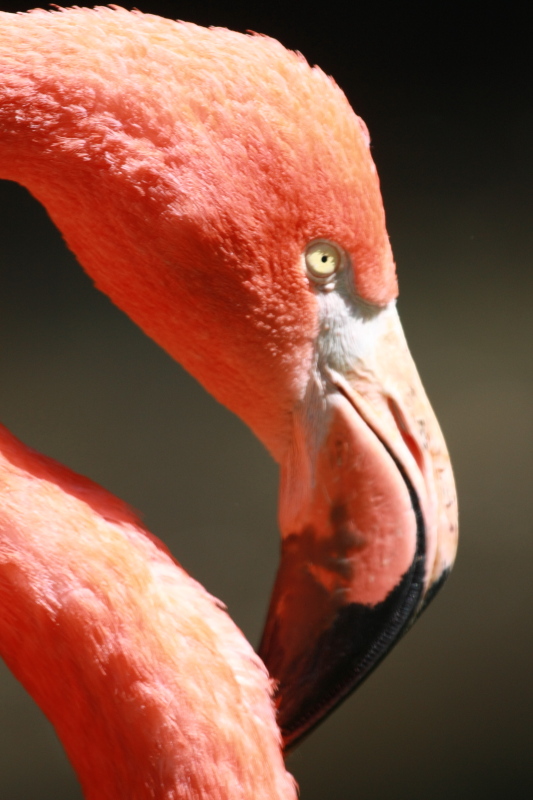 c0187779_6283030.jpg