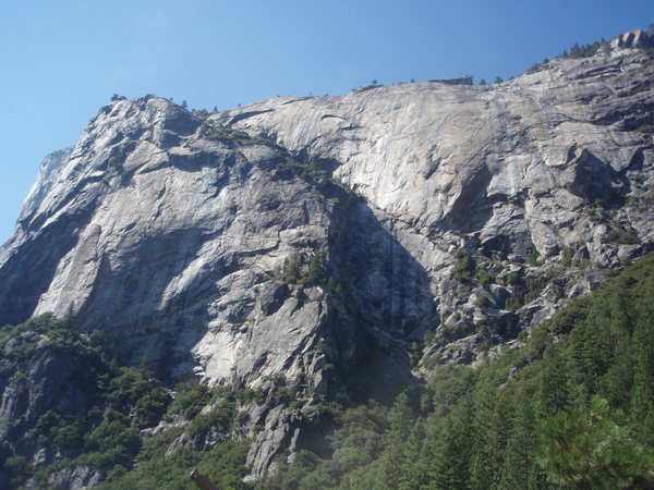 YOSEMITE　2日目　Nutcracker_f0223480_63394.jpg