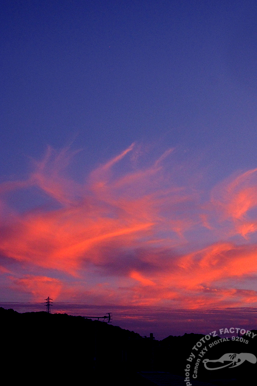 火の鳥_a0034287_2036476.jpg