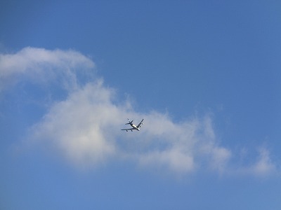 e0222588_1756535.jpg