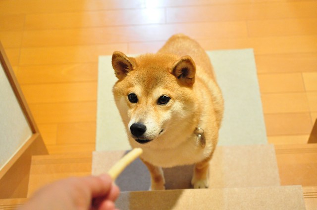 やっぱり女同士_a0126590_21144123.jpg