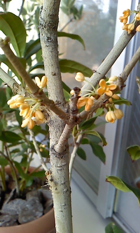 b0007895_10281010.jpg