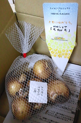 c0129596_10395088.jpg