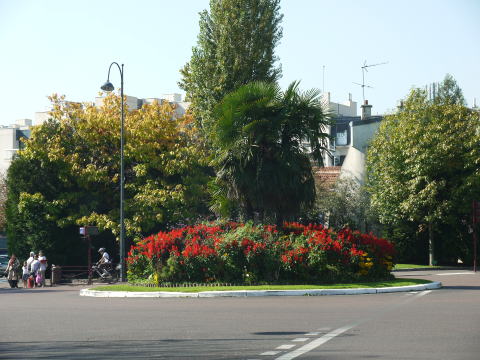 やっぱり公園がいいね♪_c0090198_4503043.jpg