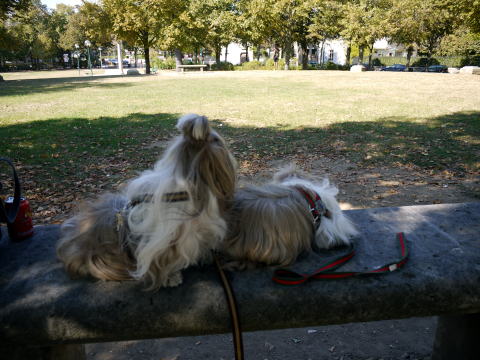 やっぱり公園がいいね♪_c0090198_455516.jpg