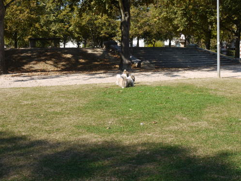 やっぱり公園がいいね♪_c0090198_4574164.jpg