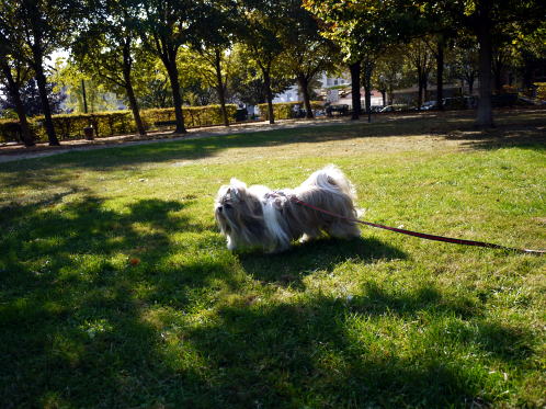 やっぱり公園がいいね♪_c0090198_458383.jpg