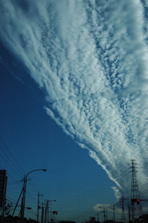 c0164598_1653383.jpg