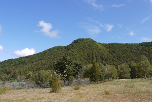 d0117001_14101525.jpg