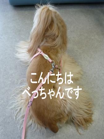 c0128303_929950.jpg