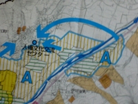 c0133503_1555265.jpg