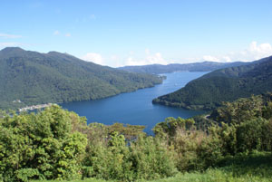 b0040606_1722675.jpg