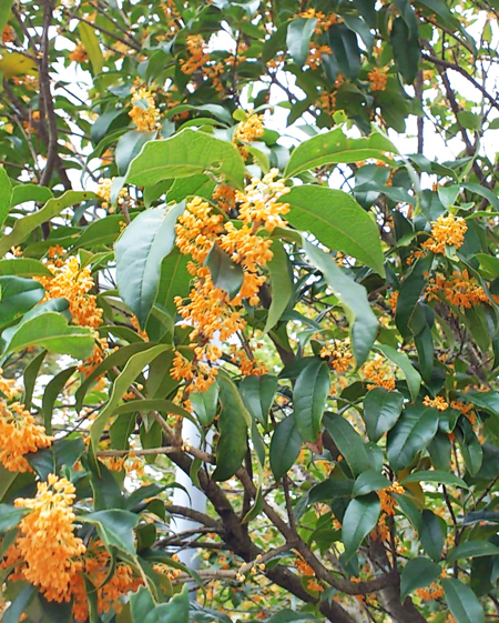 c0145608_14393693.jpg