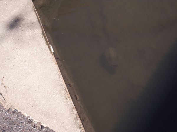 c0164709_7241091.jpg