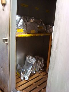 e0236809_22382927.jpg