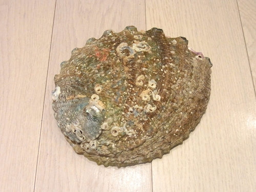 c0227612_18134416.jpg