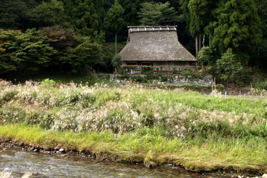 e0048413_1433850.jpg