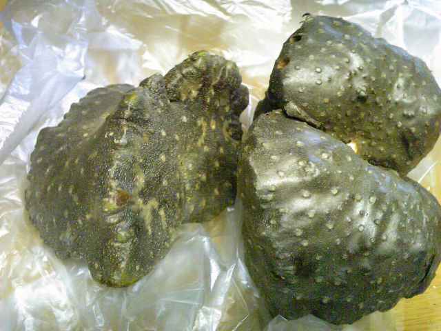 e0202518_2115172.jpg