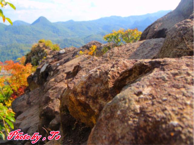 f0147821_13382221.jpg